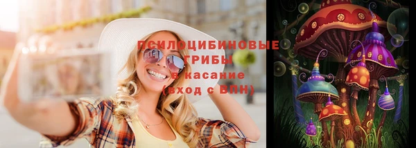 спиды Чекалин