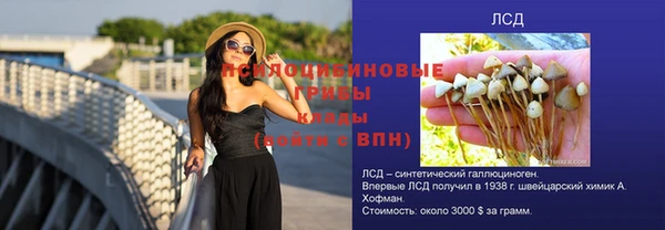 спиды Чекалин