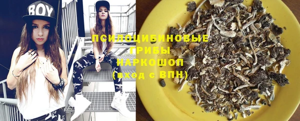 spice Чердынь