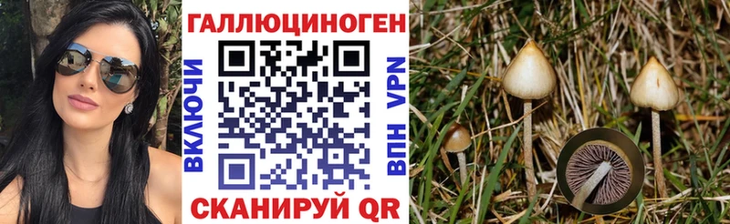 Купить закладки  Щучье  Галлюциногенные грибы Psilocybine cubensis 